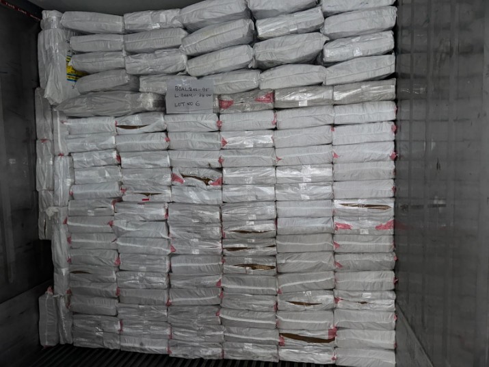 frozen-food (1)